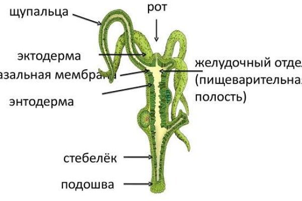 Кракен ссылка оригинал