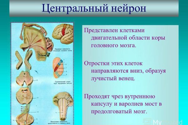 Ссылка кракен зеркало тор